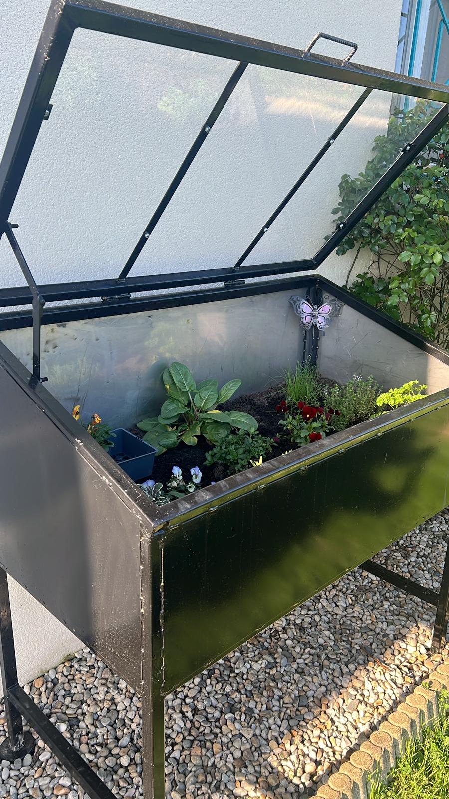 Serre ouverte avec plantes